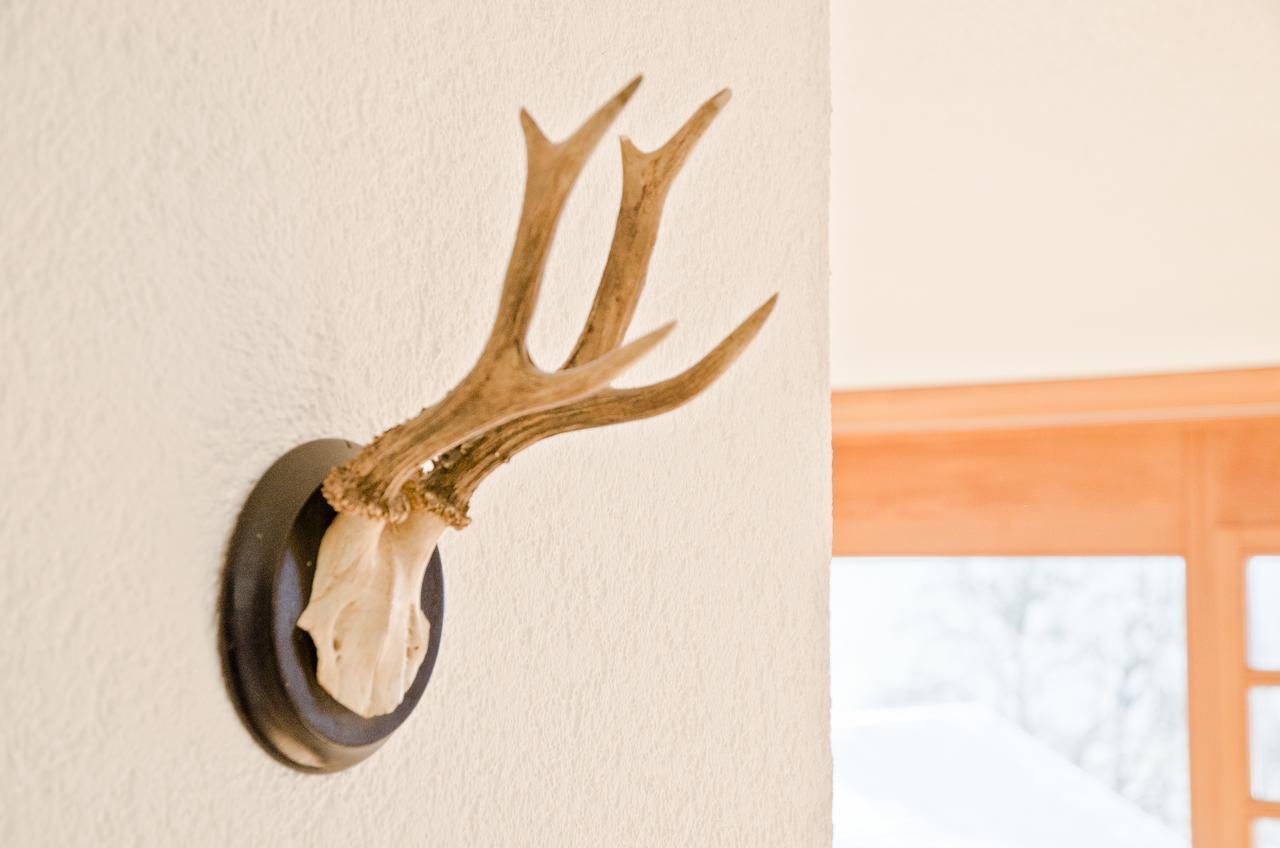 Apartment Matterhorn - Griwa Rent Ag Grindelwald Esterno foto